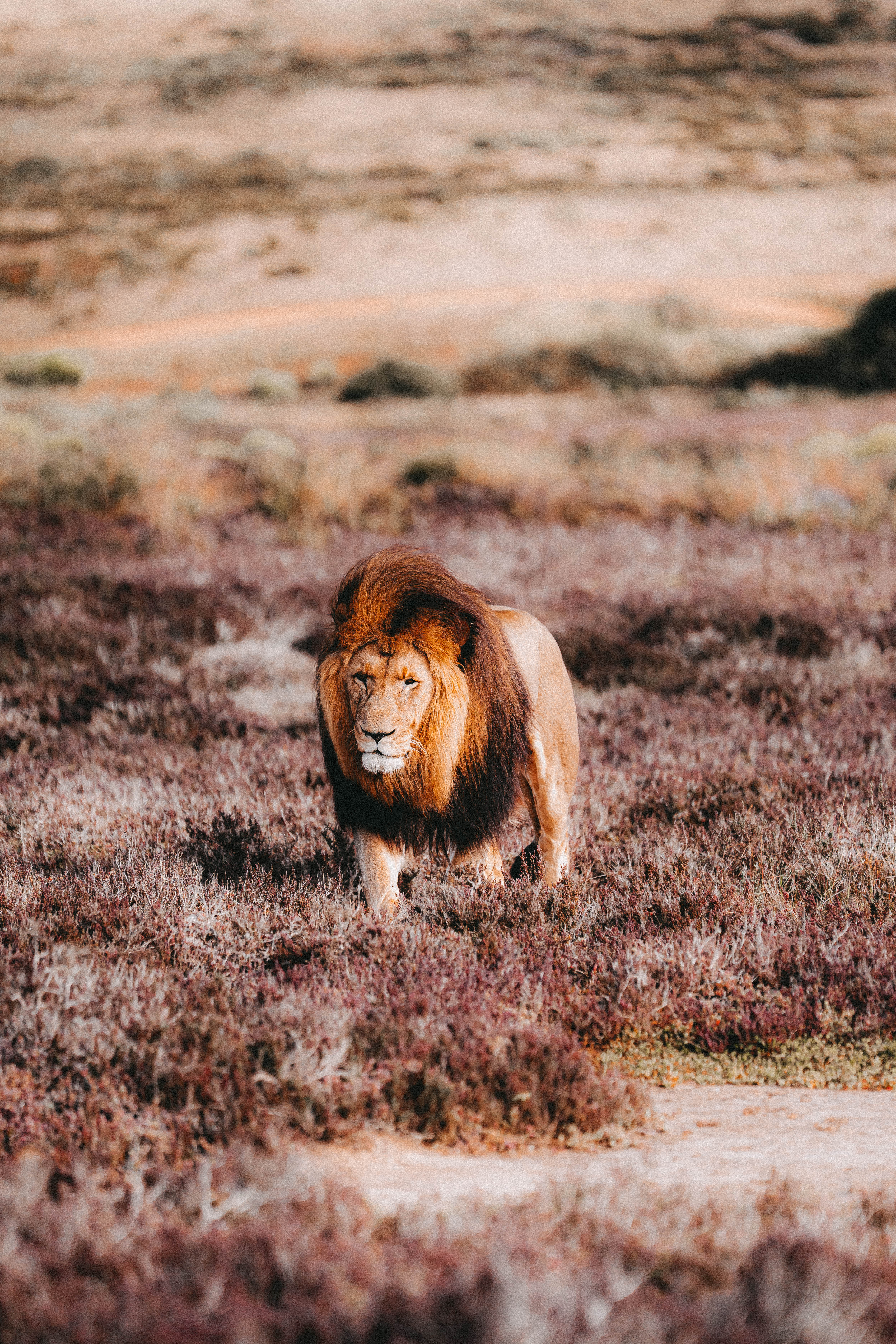 Reisefoto nach dem Colorgrading