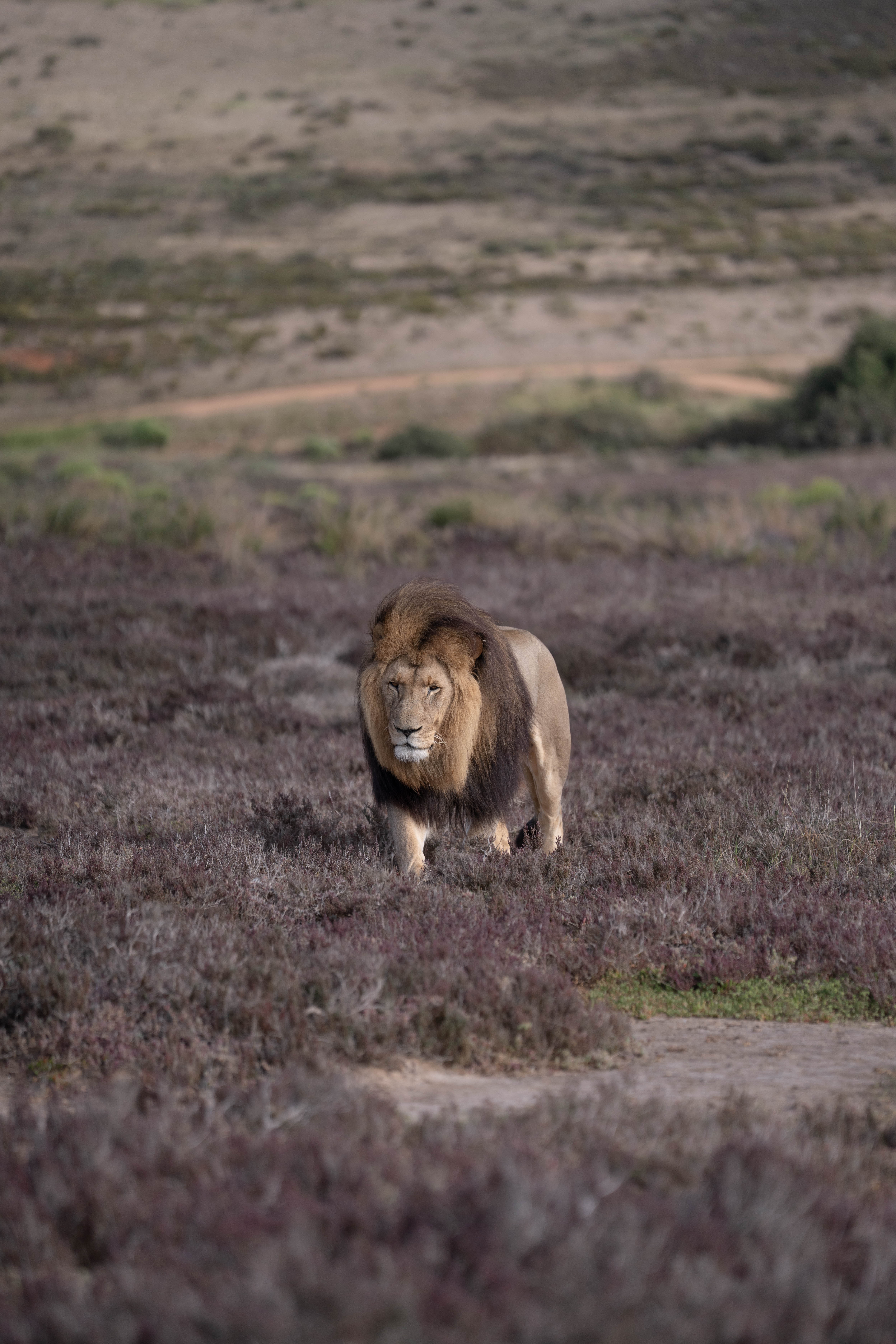 Reisefoto vor dem Colorgrading